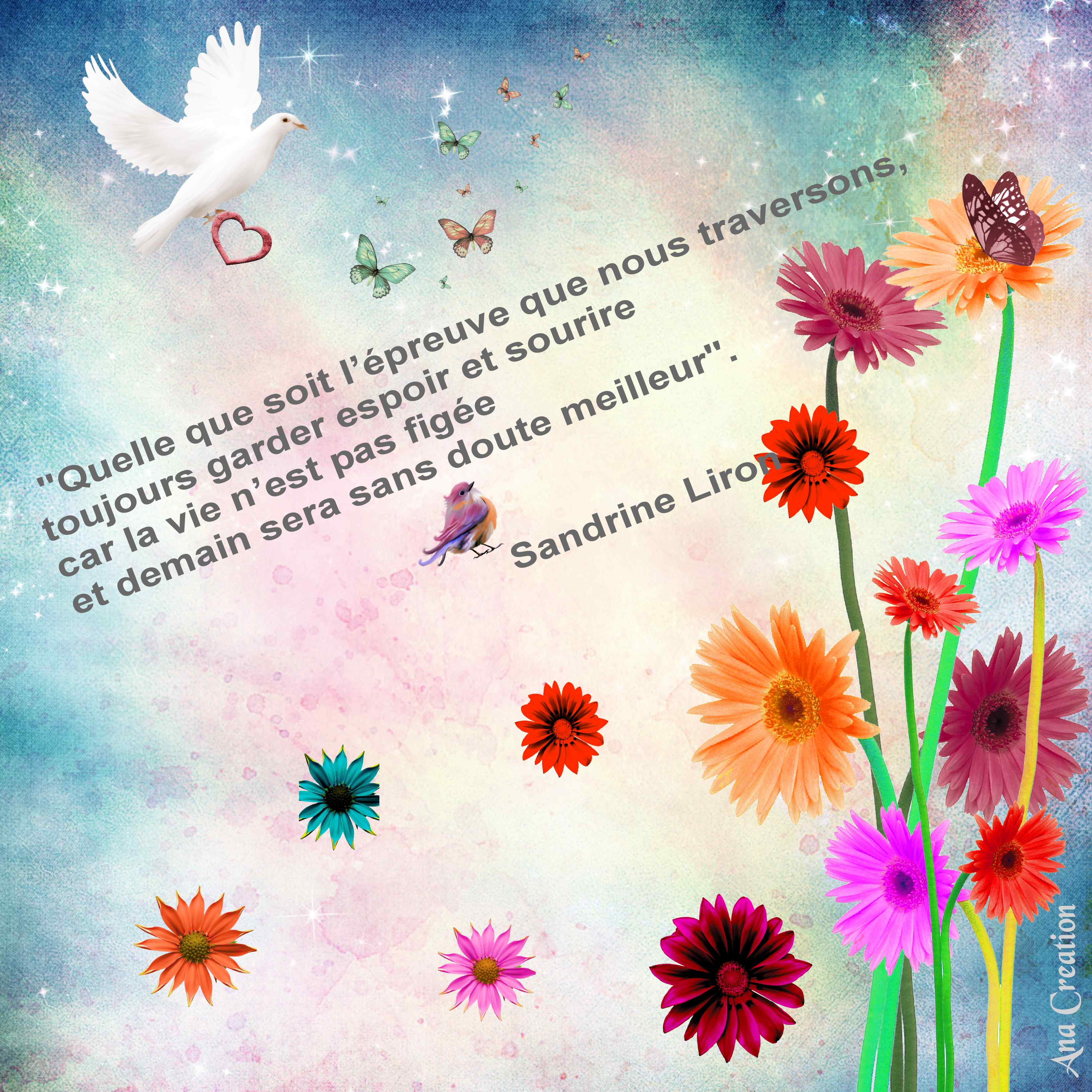 citation de Sandrine