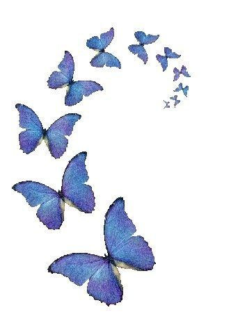 papillons20bleus.jpg